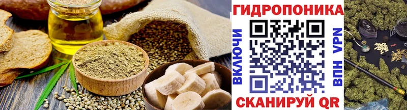 Печенье с ТГК конопля  нарко площадка как зайти  Грозный  гидра ссылки 
