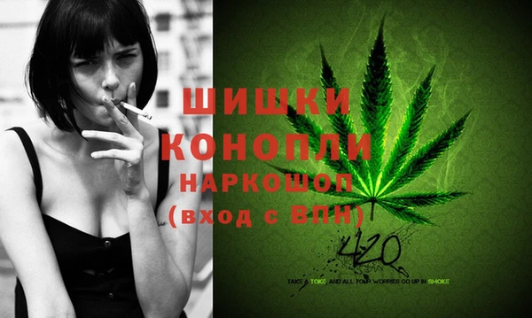 тгк Нея