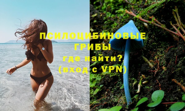 тгк Нея