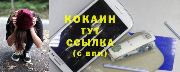 тгк Нея