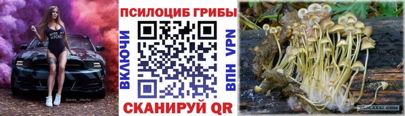 Галлюциногенные грибы Psilocybe сколько стоит Грозный