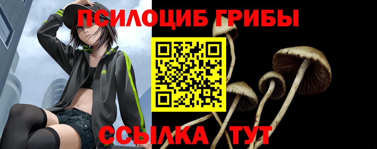 Псилоцибиновые грибы GOLDEN TEACHER Грозный