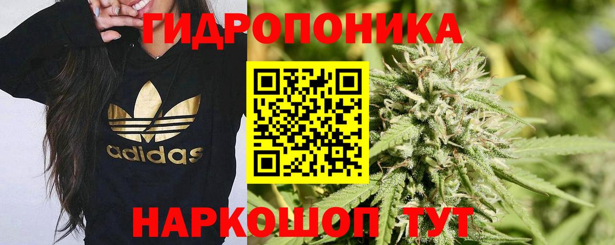 Марихуана семена  Бошки Шишки ГИДРОПОН  Грозный  Бошки Шишки конопля  Вход с VPN 